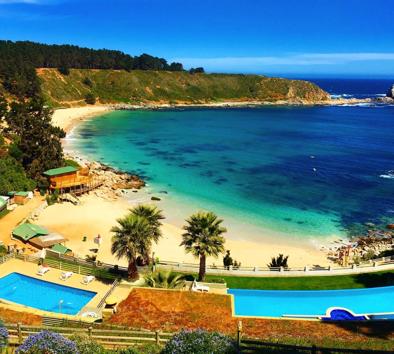 Algarrobo