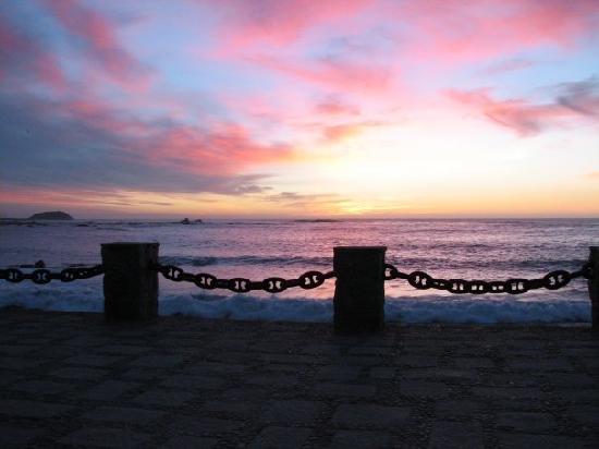 Algarrobo - 3