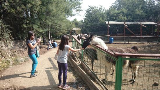 Parque Mahuida - 3
