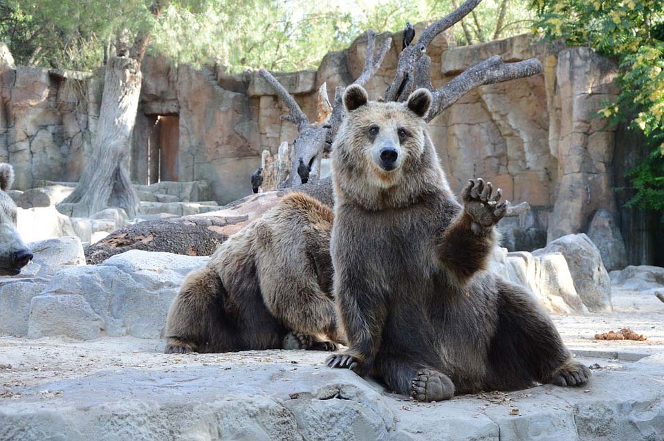 Zoológico Nacional