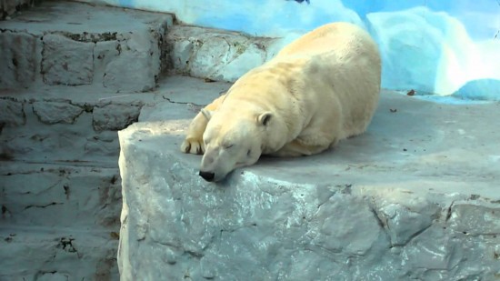 Zoológico Nacional - 3