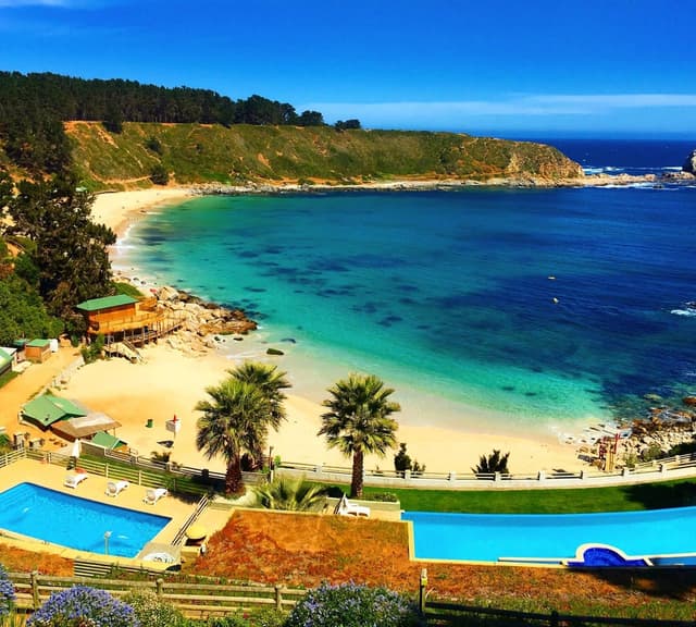 Algarrobo - 1