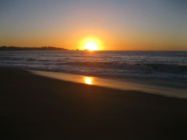 Algarrobo - 4