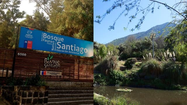 Parquemet Bosque Santiago - 1