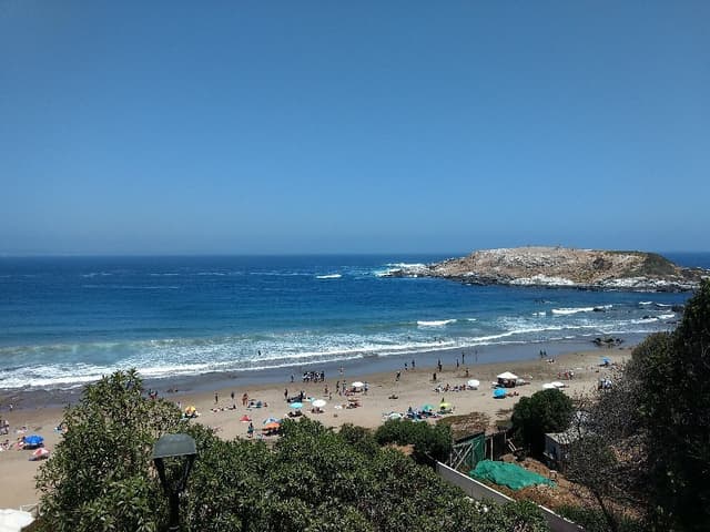 Cachagua y Zapallar - 1