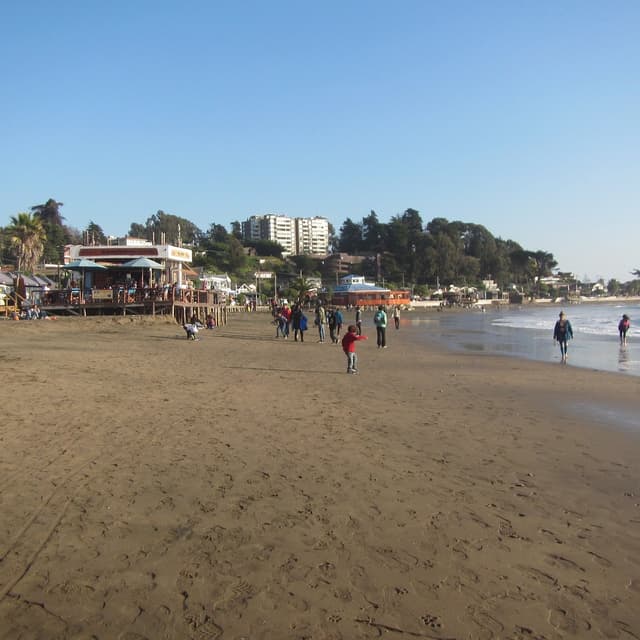 Maitencillo - 3